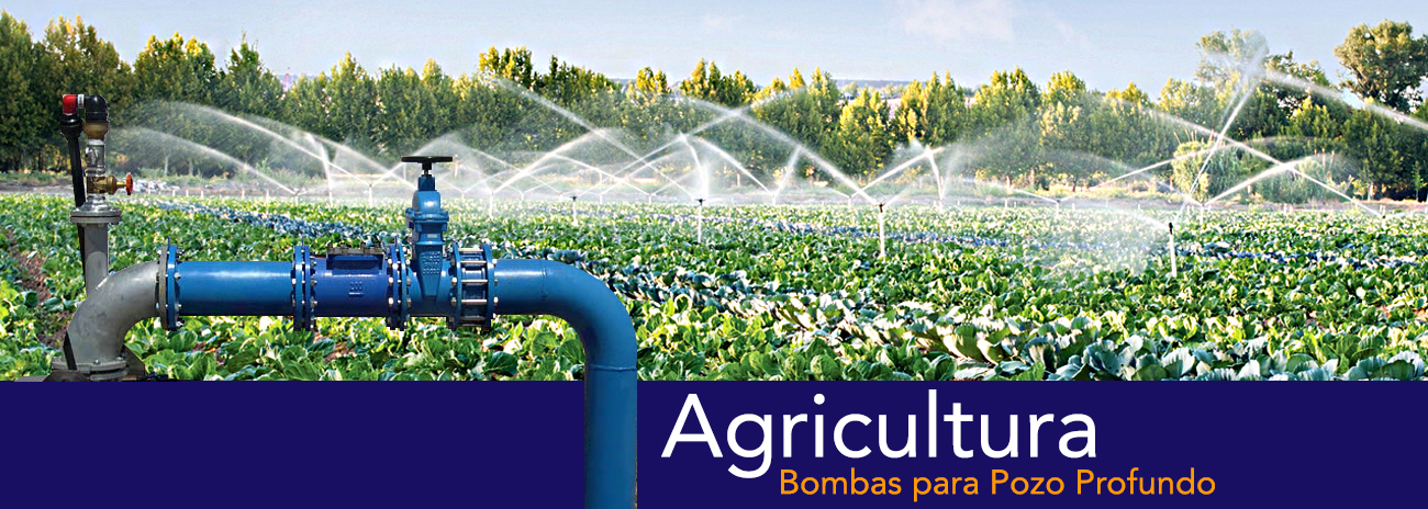 Bombas para pozo Profundo